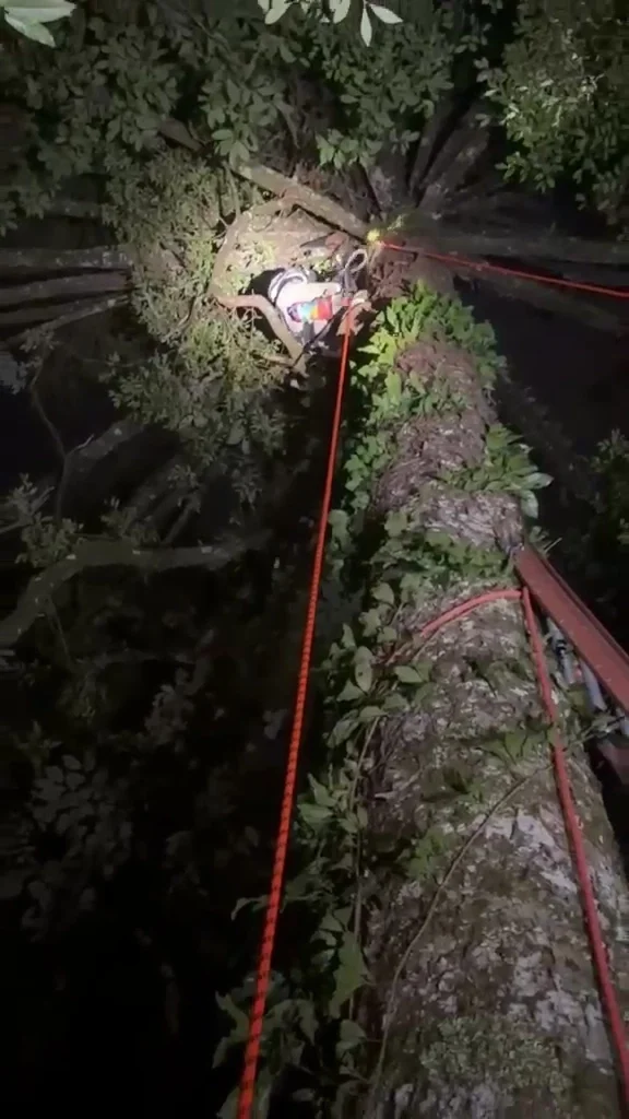 Imagens: Corpo de Bombeiros