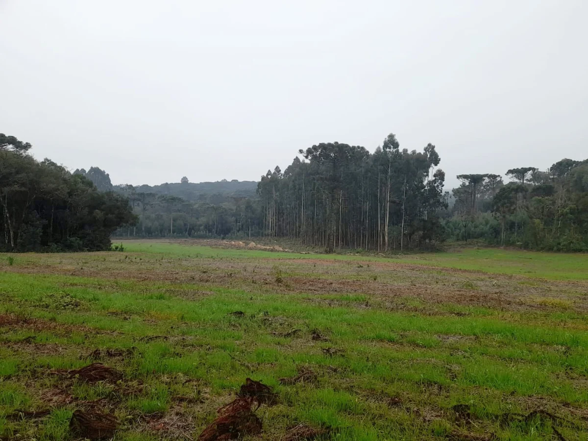 Foto 5 da galeria