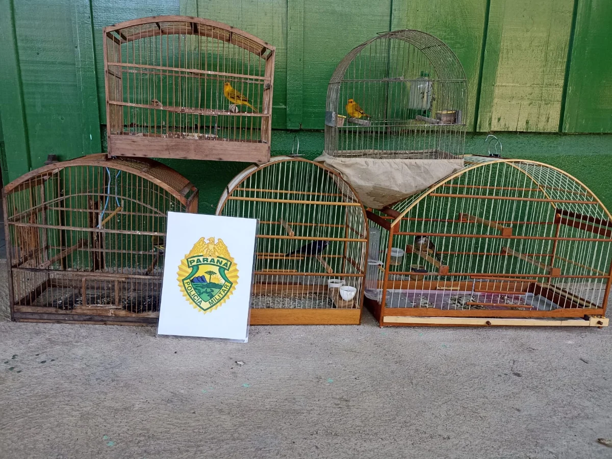Foto 4 da galeria