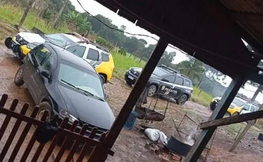 Gato do caso de maus-tratos é encontrado e resgatado pela polícia