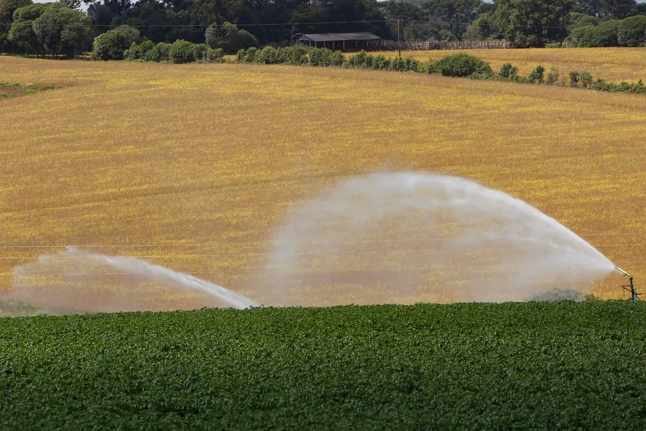 ICMS zero: Paraná prorroga isenção para produtos agropecuários até 2026