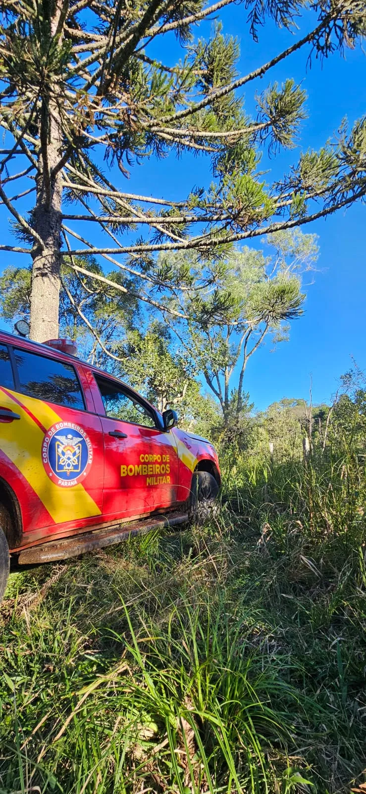 Idoso que saiu para juntar pinhão é encontrado morto em Cruz Machado