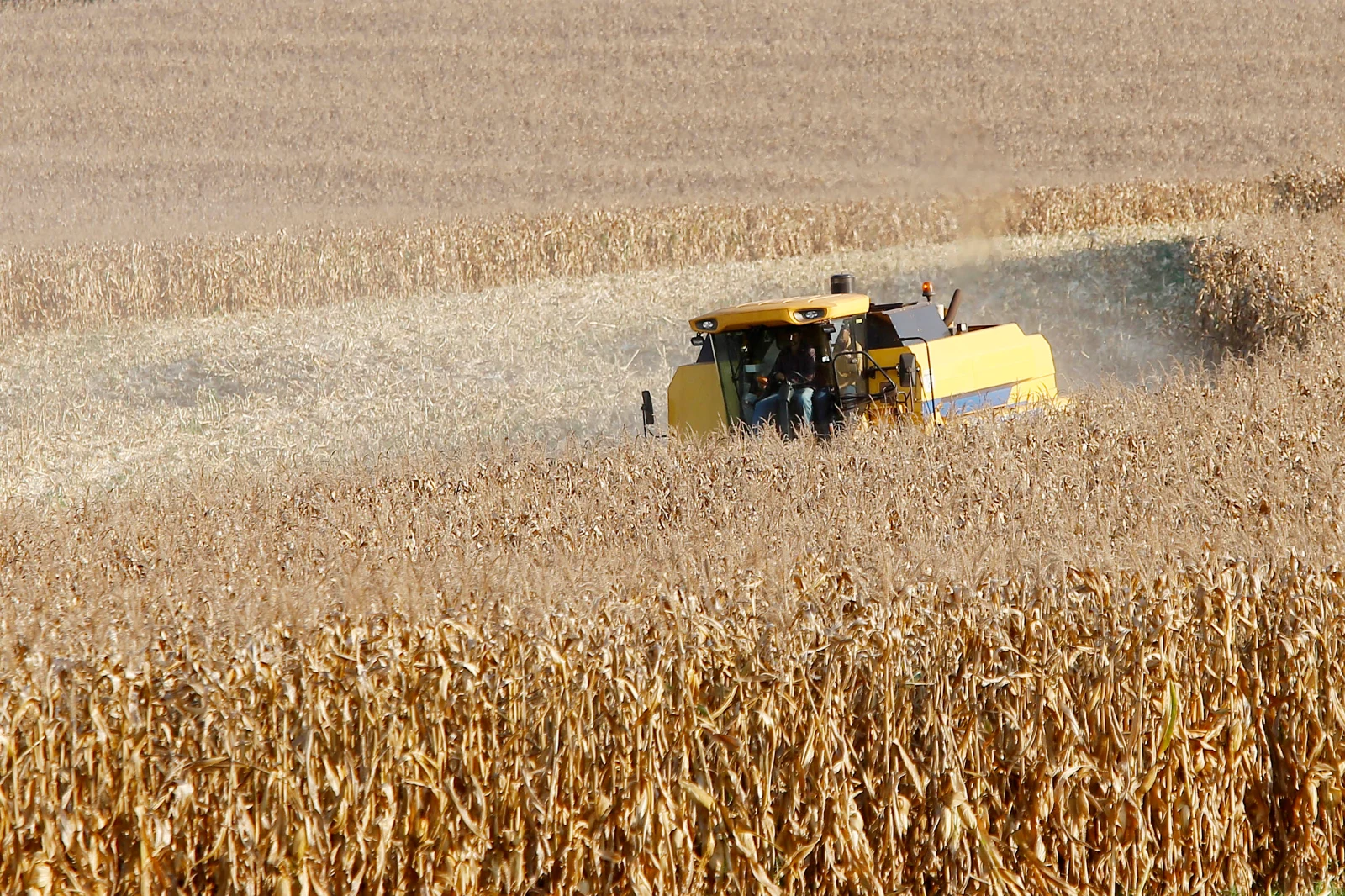 Produção de etanol de milho dispara 71% no Paraná
