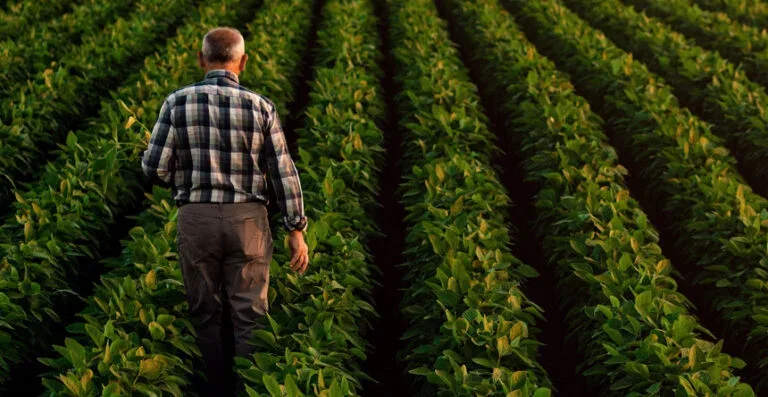 Endividamento de R$ 10,8 bi coloca agro do Paraná em risco, alerta Sistema FAEP
