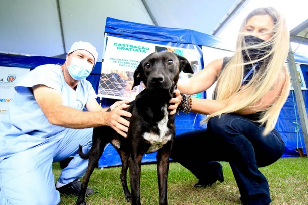 Irati vai realizar castração gratuita para mais 300 animais