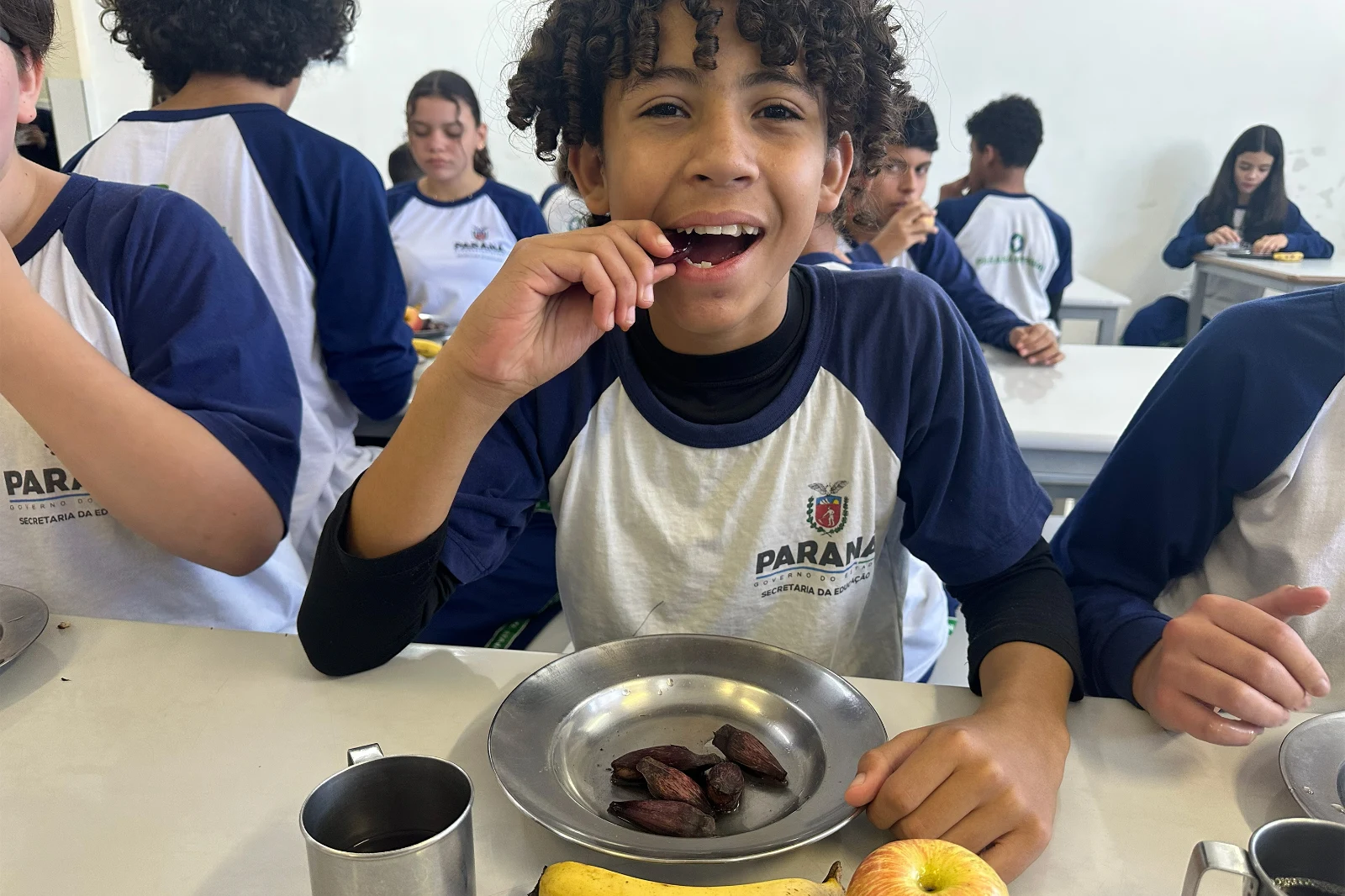 Pinhão chega à merenda escolar e região de Irati se destaca entre as maiores produtoras do Paraná
