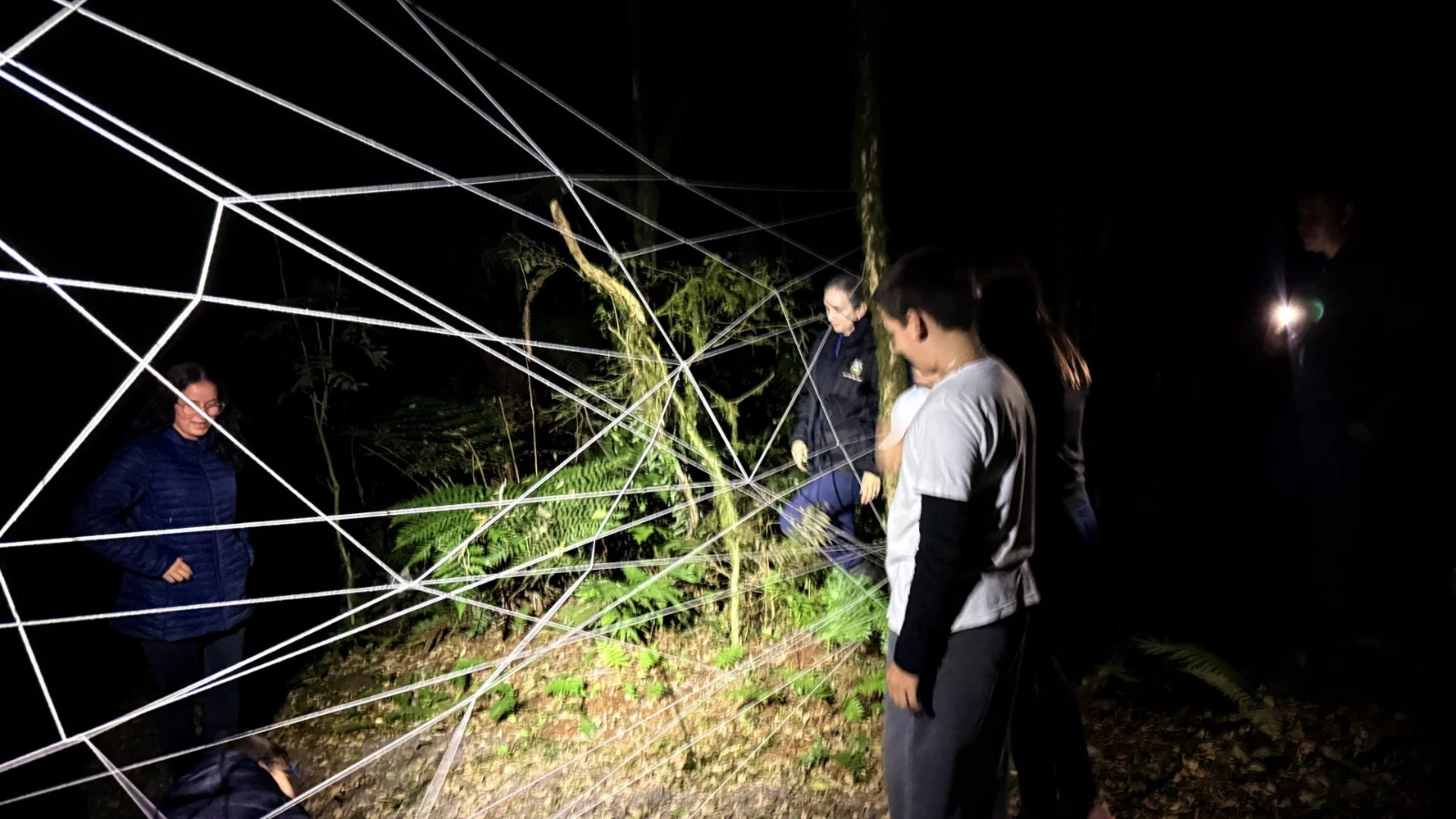 Trilha da Lua Cheia reúne participantes em experiência de conexão com a natureza no Parque das Araucárias, em Guarapuava