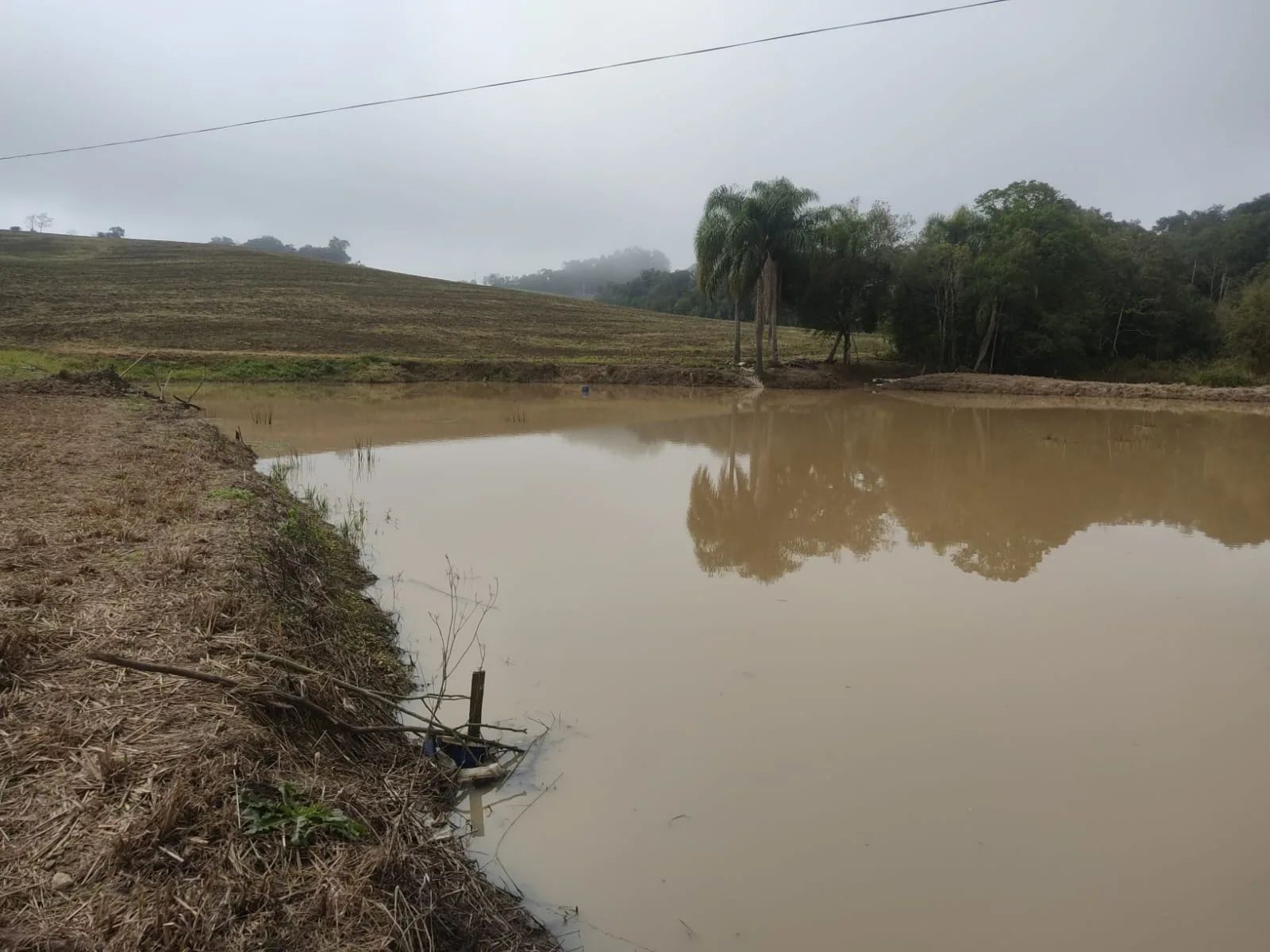 Polícia Ambiental aplica R$ 12 mil em multas por crimes ambientais em Rebouças