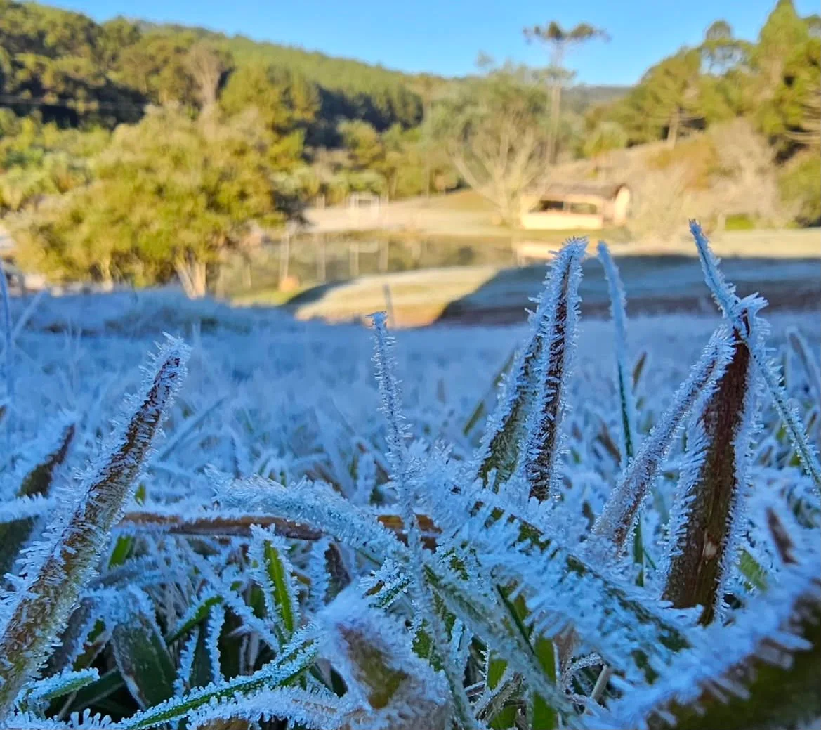 Irati registra 3,6°C e amanhece com geada; veja quando a chuva volta