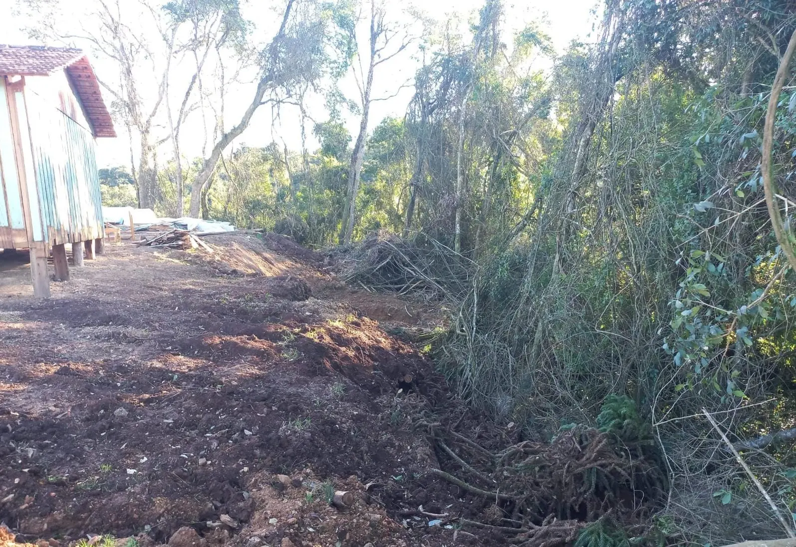Polícia Ambiental aplica multa de R$ 7 mil por desmatamento ilegal em Irati