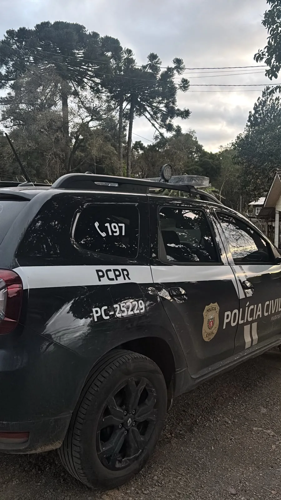 Suspeito de furtar mais de R$ 5 mil em oficina é preso; segundo investigado está foragido em Irati