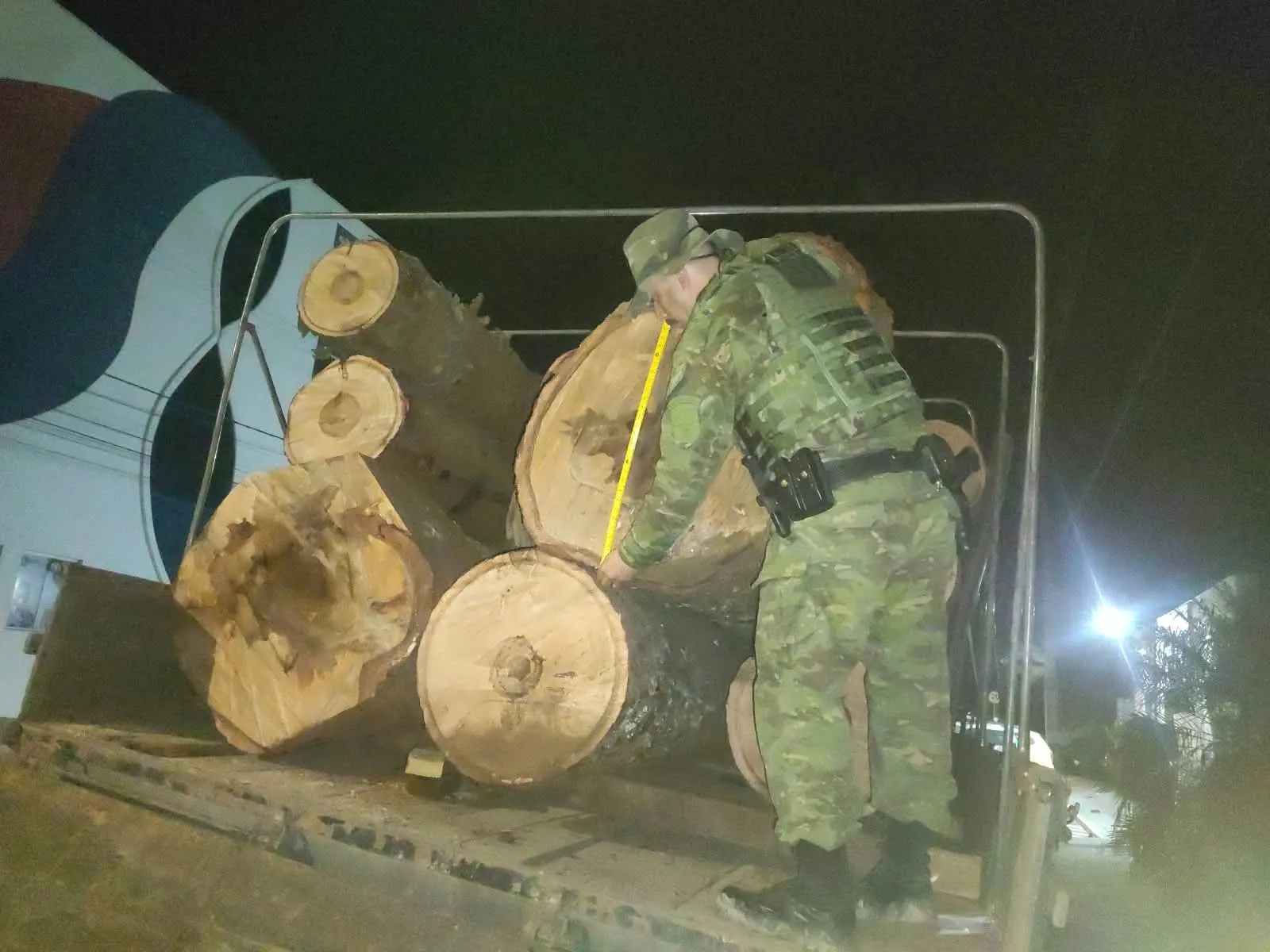 Polícia Ambiental apreende quase 20 m³ de araucária e multa motorista em R$ 6 mil em São Mateus do Sul