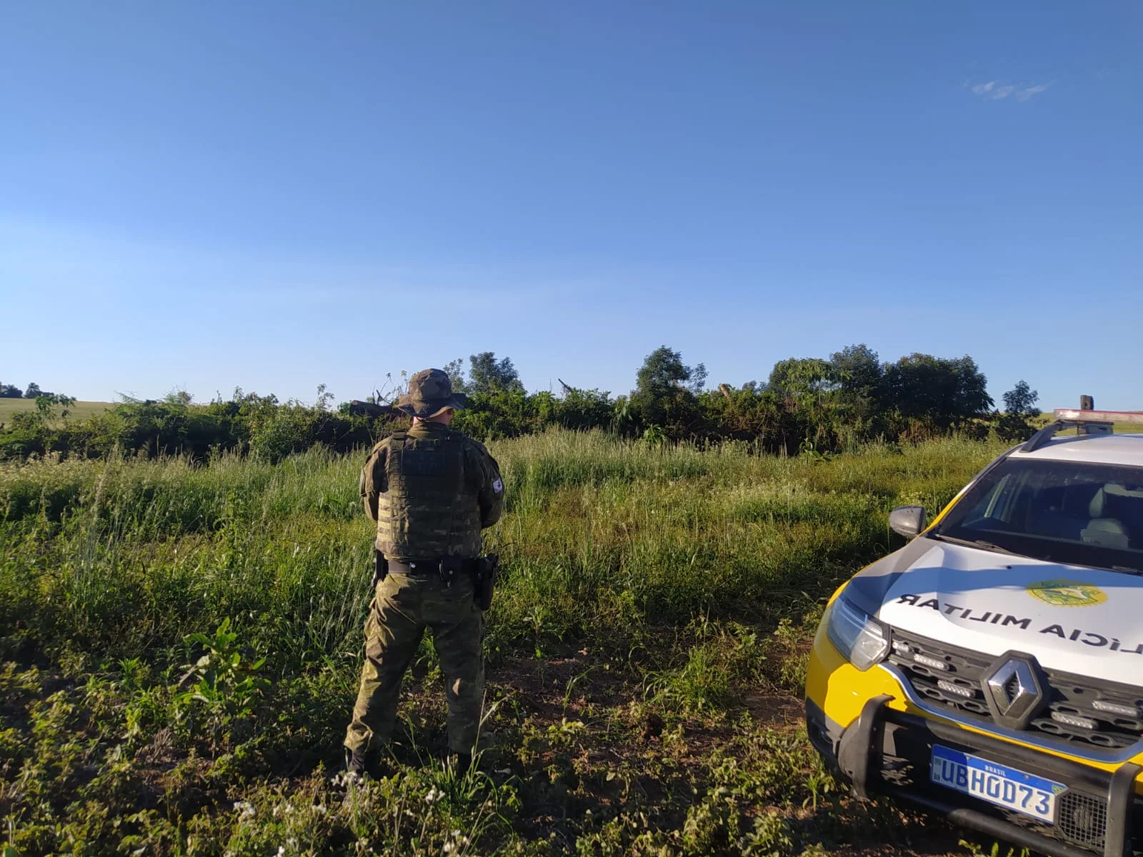 Desmatamento ilegal de 1,31 hectare de Mata Atlântica gera multa de R$ 14 mil em São Mateus do Sul