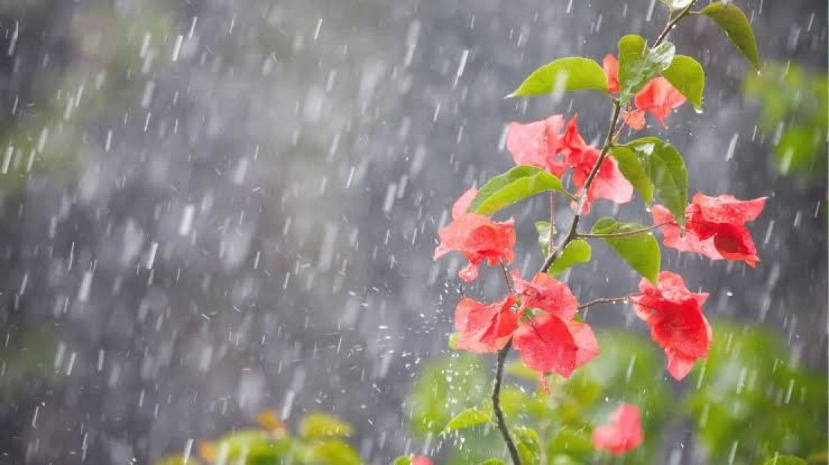 Chuvas e temperaturas acima da média vão marcar a primavera, prevê o Simepar