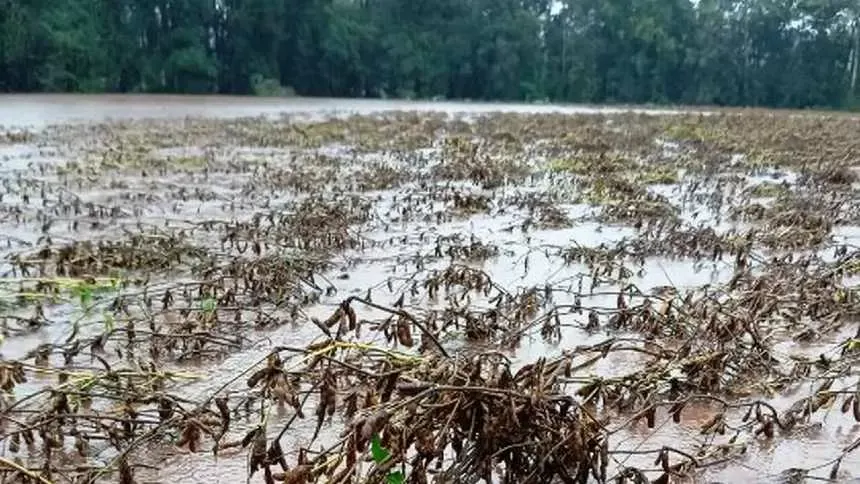 Afetados pelo El Niño terão crédito extraordinário de R$ 64 milhões