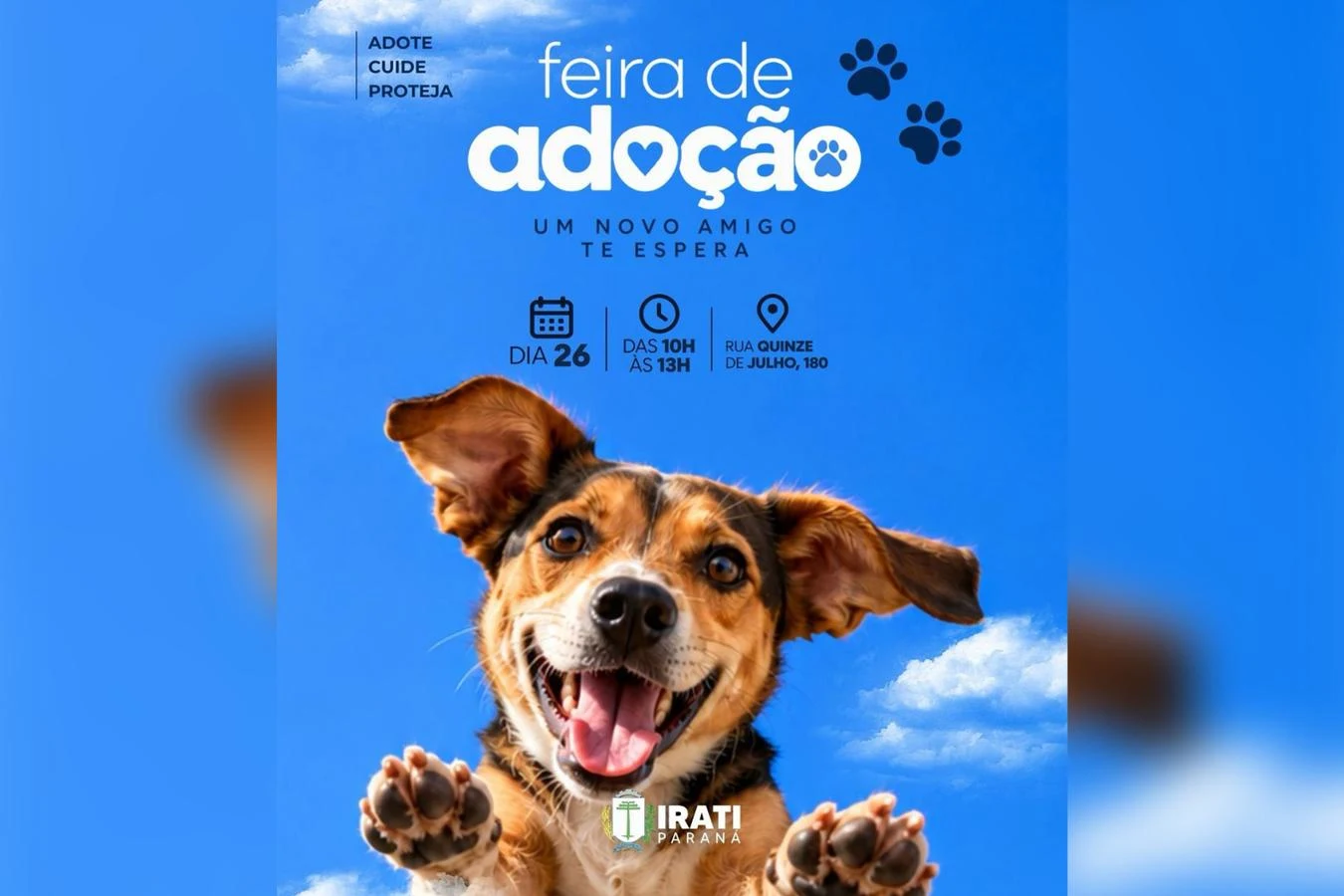 Quer adotar? Feira reúne cães à espera de um novo lar neste sábado em Irati