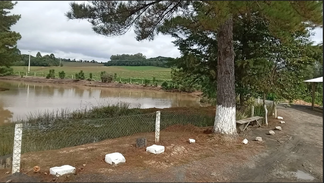 R$ 15 mil em multas são aplicados após danos em áreas de preservação em Rebouças