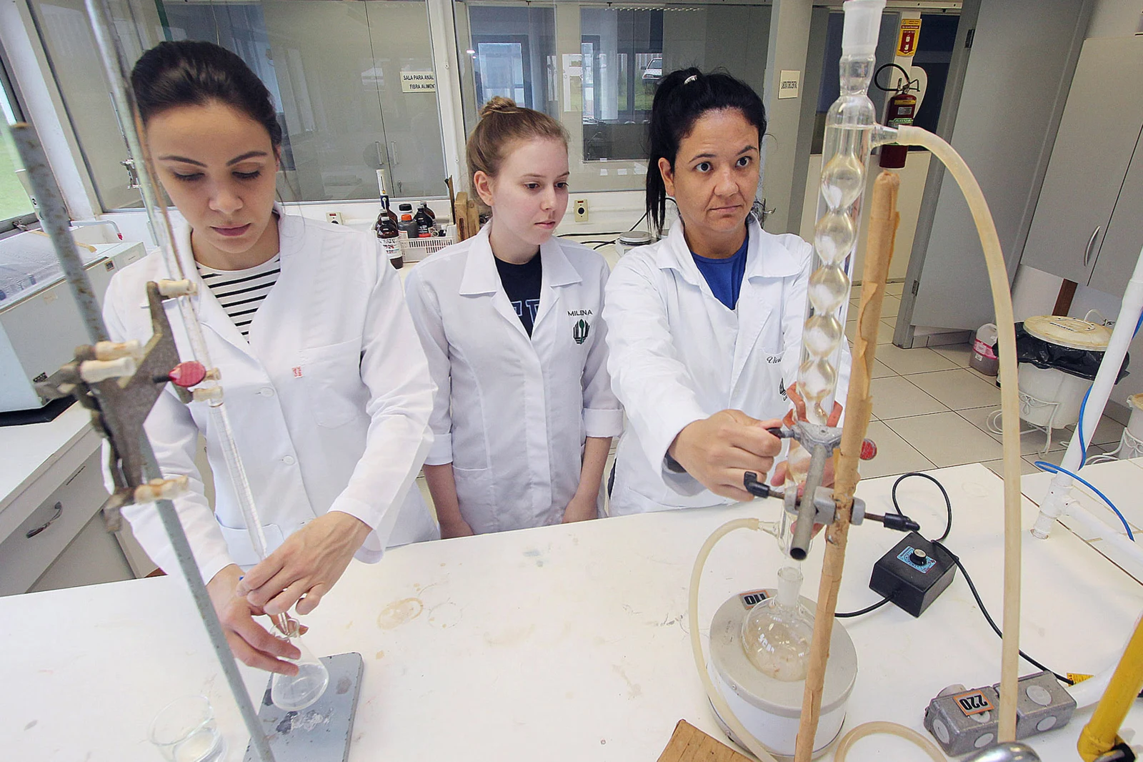 73 vagas para intercâmbio gratuito: estudantes e pesquisadores do Paraná podem estudar na França, Japão, Argentina e Austrália