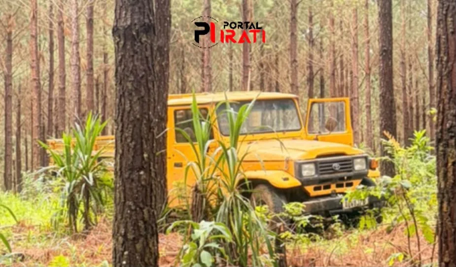 Caminhonete furtada de chácara em Irati é encontrada abandonada em plantação de pinus