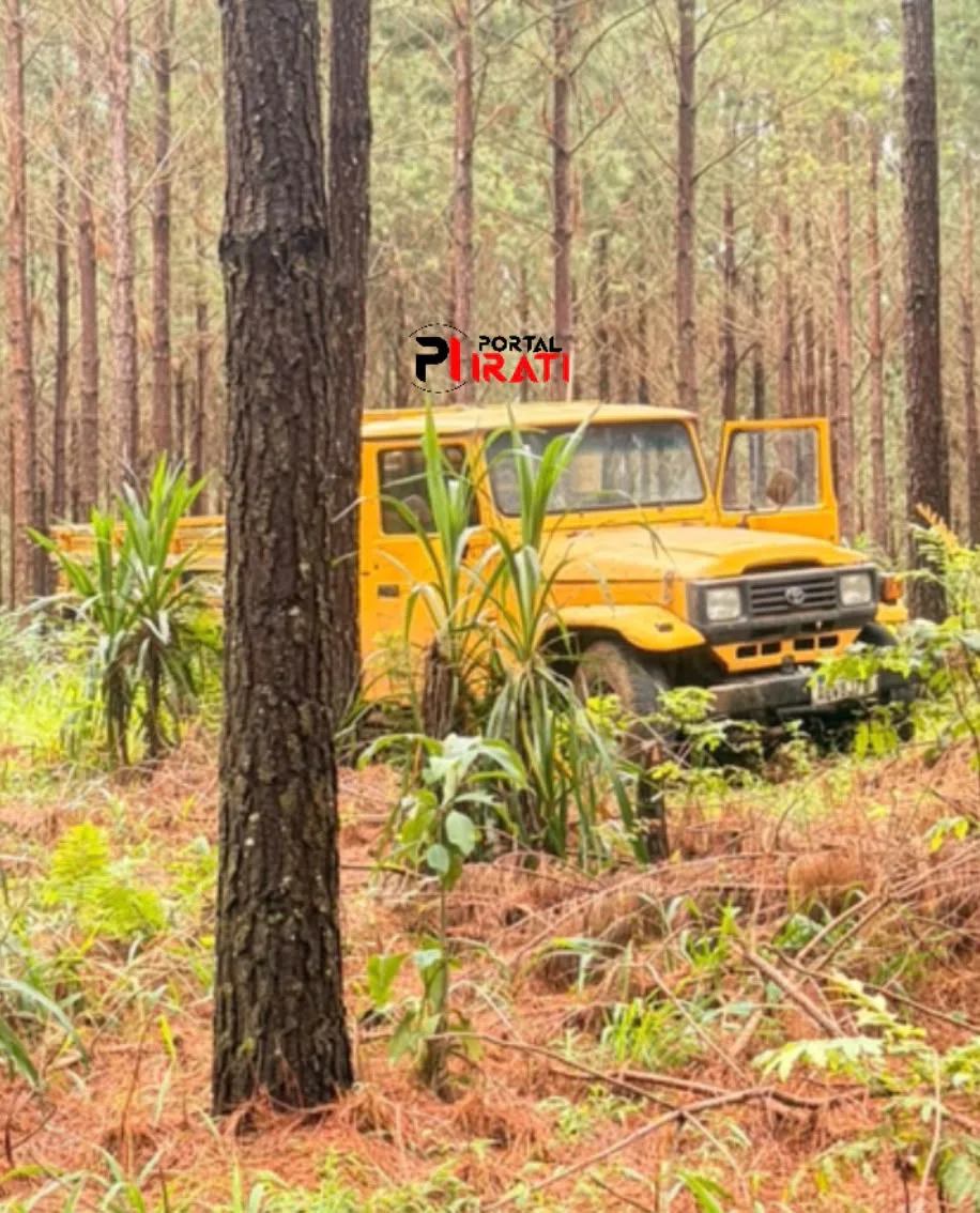 Caminhonete furtada de chácara em Irati é encontrada abandonada em plantação de pinus