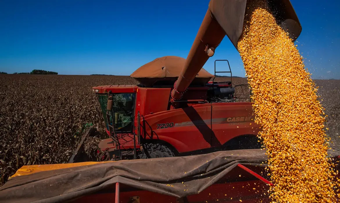Produção de grãos no Brasil deve bater recorde em 2026, com estimativa de 354,5 milhões de toneladas